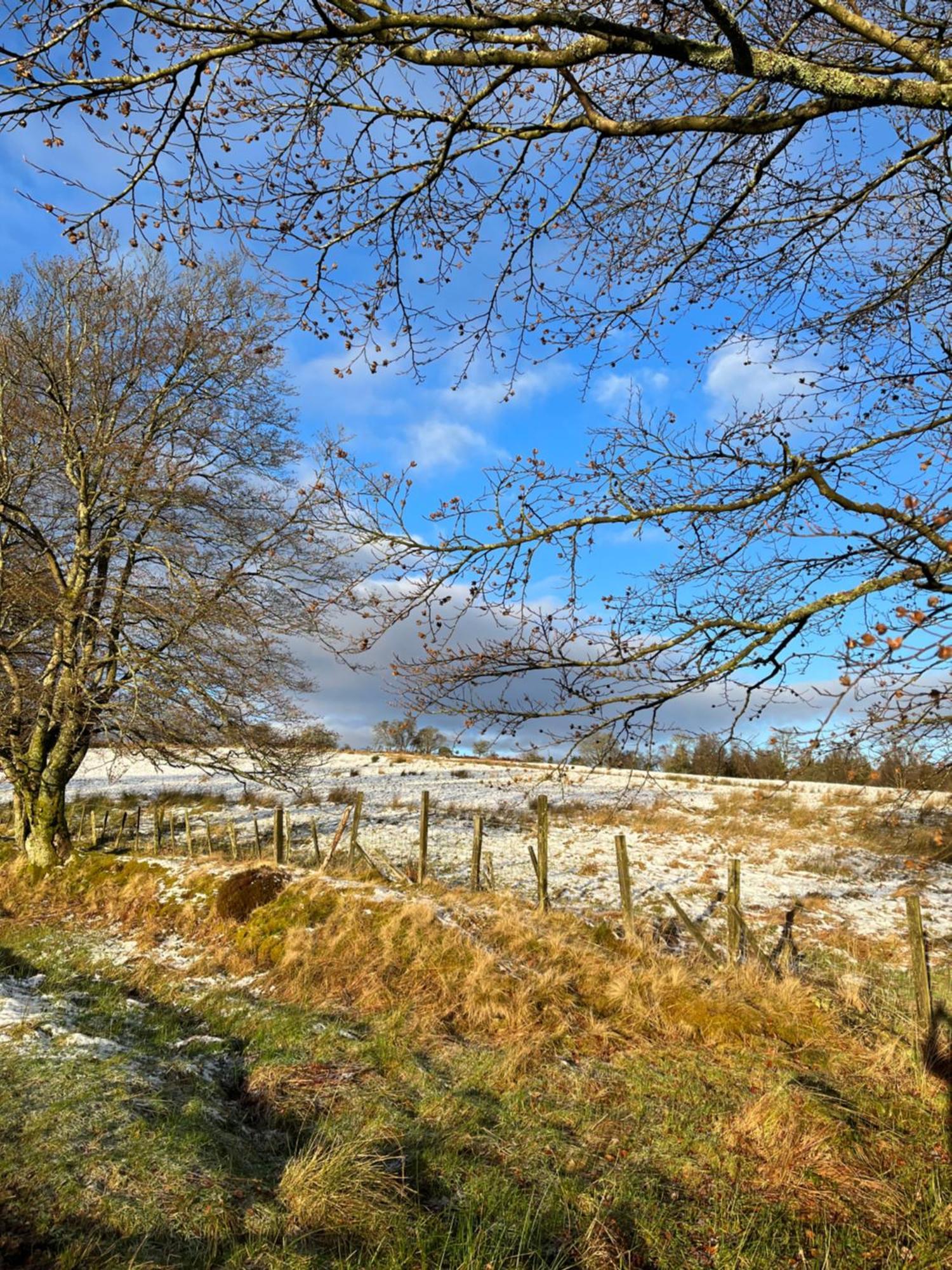 Vila Stoneymollan Over Loch Lomond Balloch Exteriér fotografie