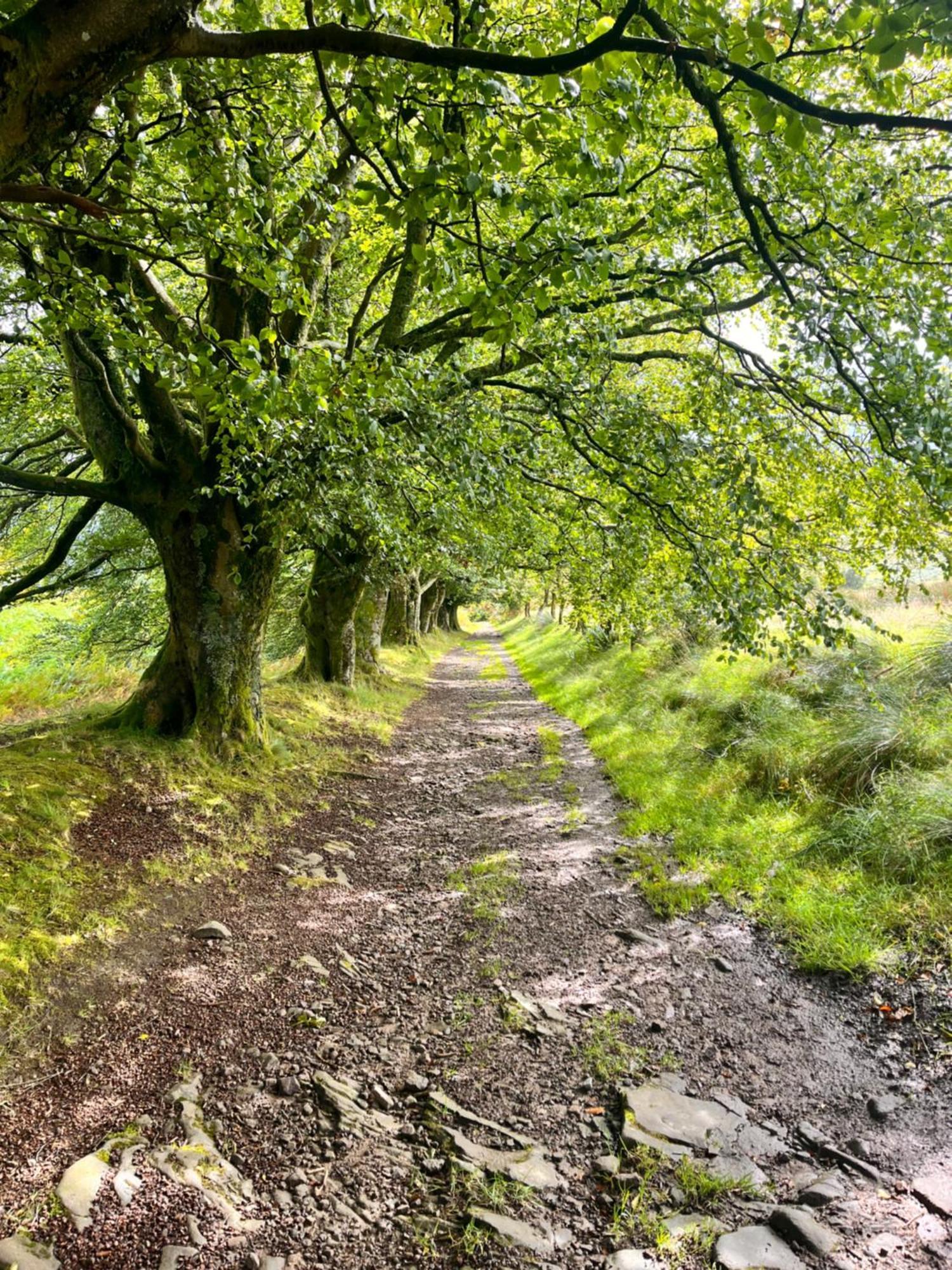 Vila Stoneymollan Over Loch Lomond Balloch Exteriér fotografie