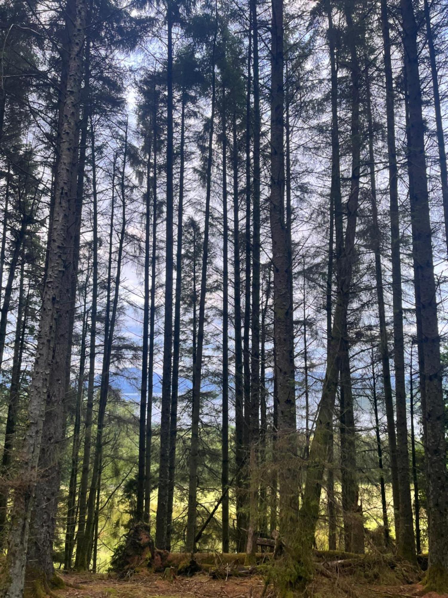 Vila Stoneymollan Over Loch Lomond Balloch Exteriér fotografie